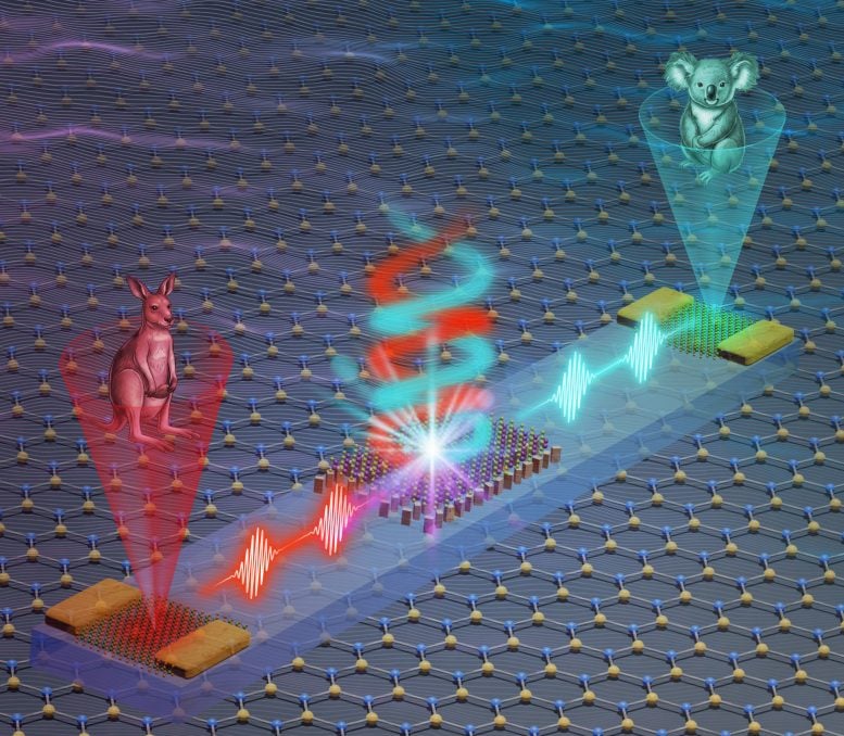 Photonic Valleytronic Chip