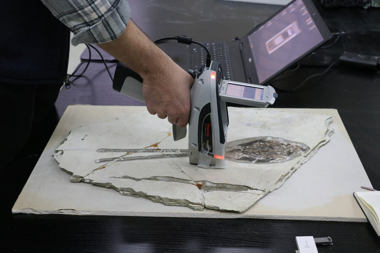 Plumadraco Fossil Spectroscopy Analysis