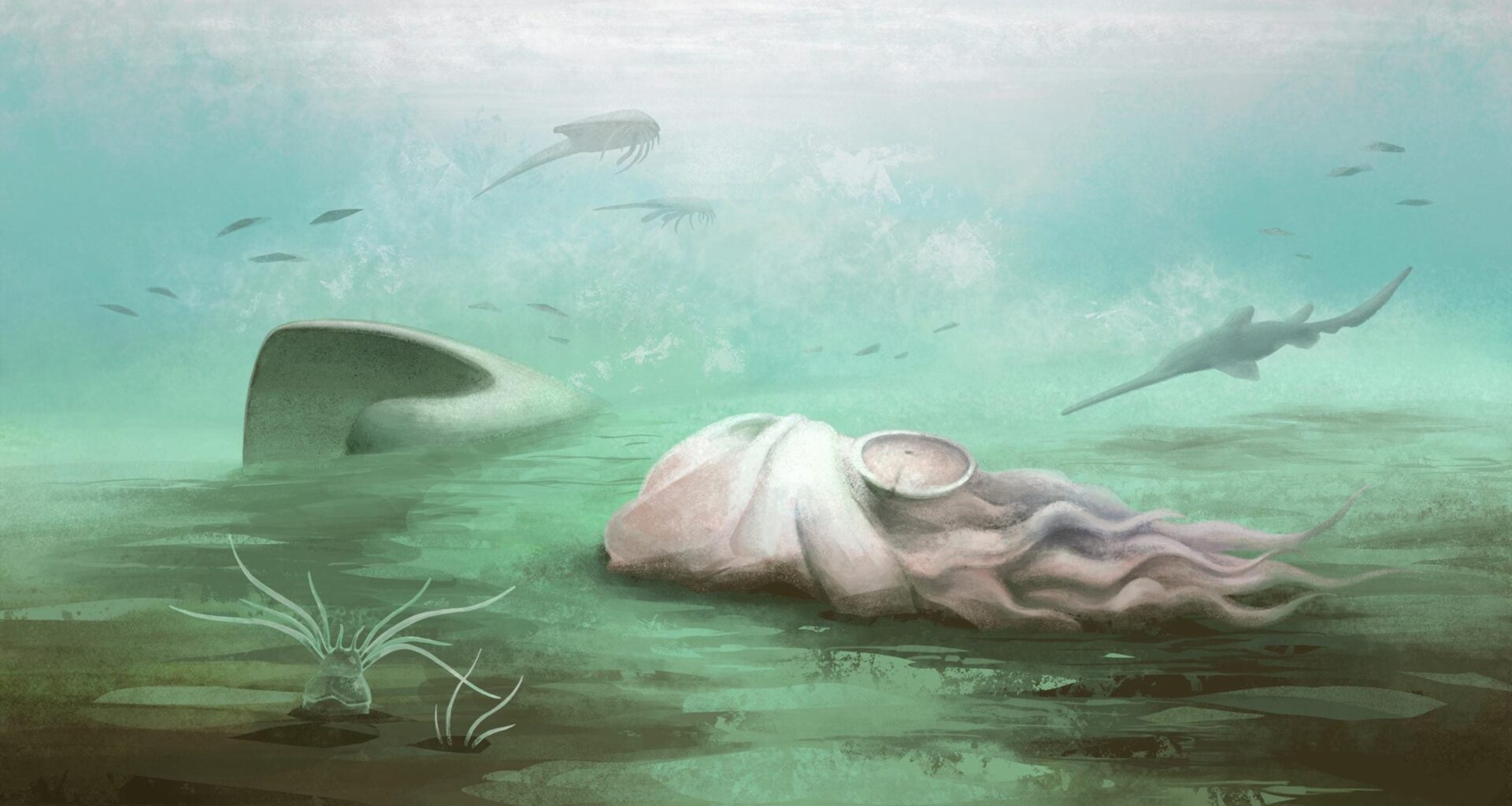 Scientists Just Exposed a 300 Million-Year-Old Fossil Mistake