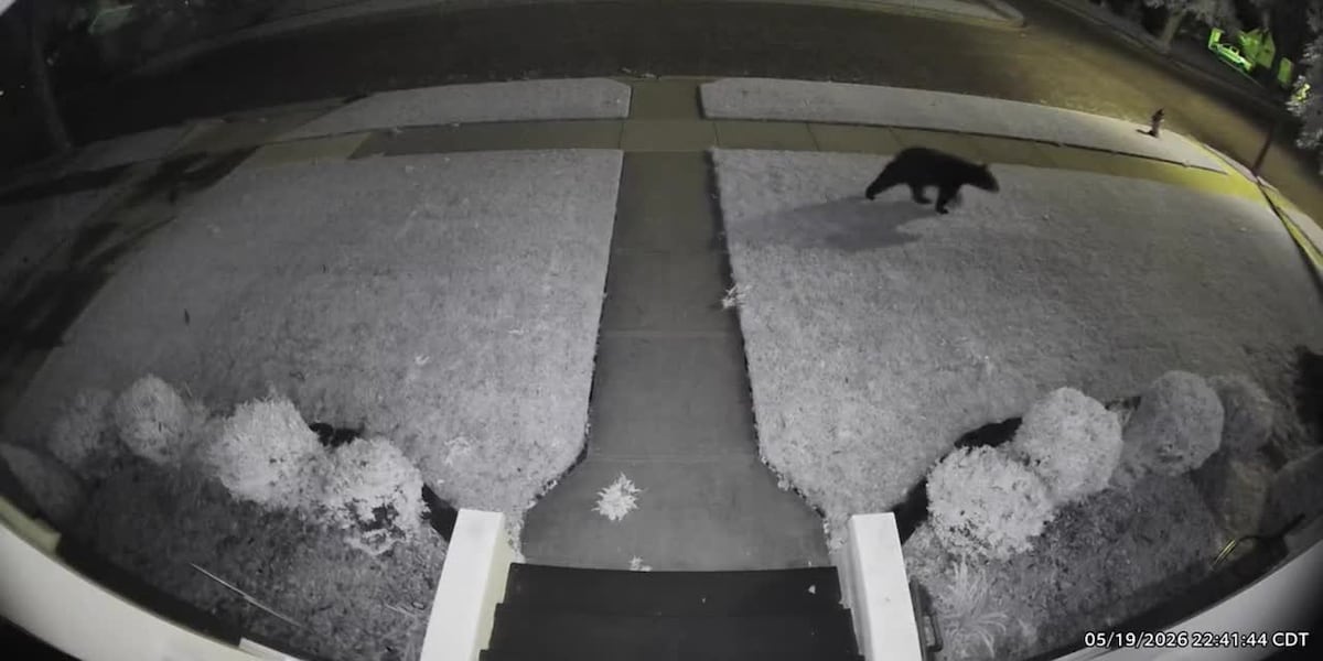 Police issue warning after bear sightings in southeast Kansas