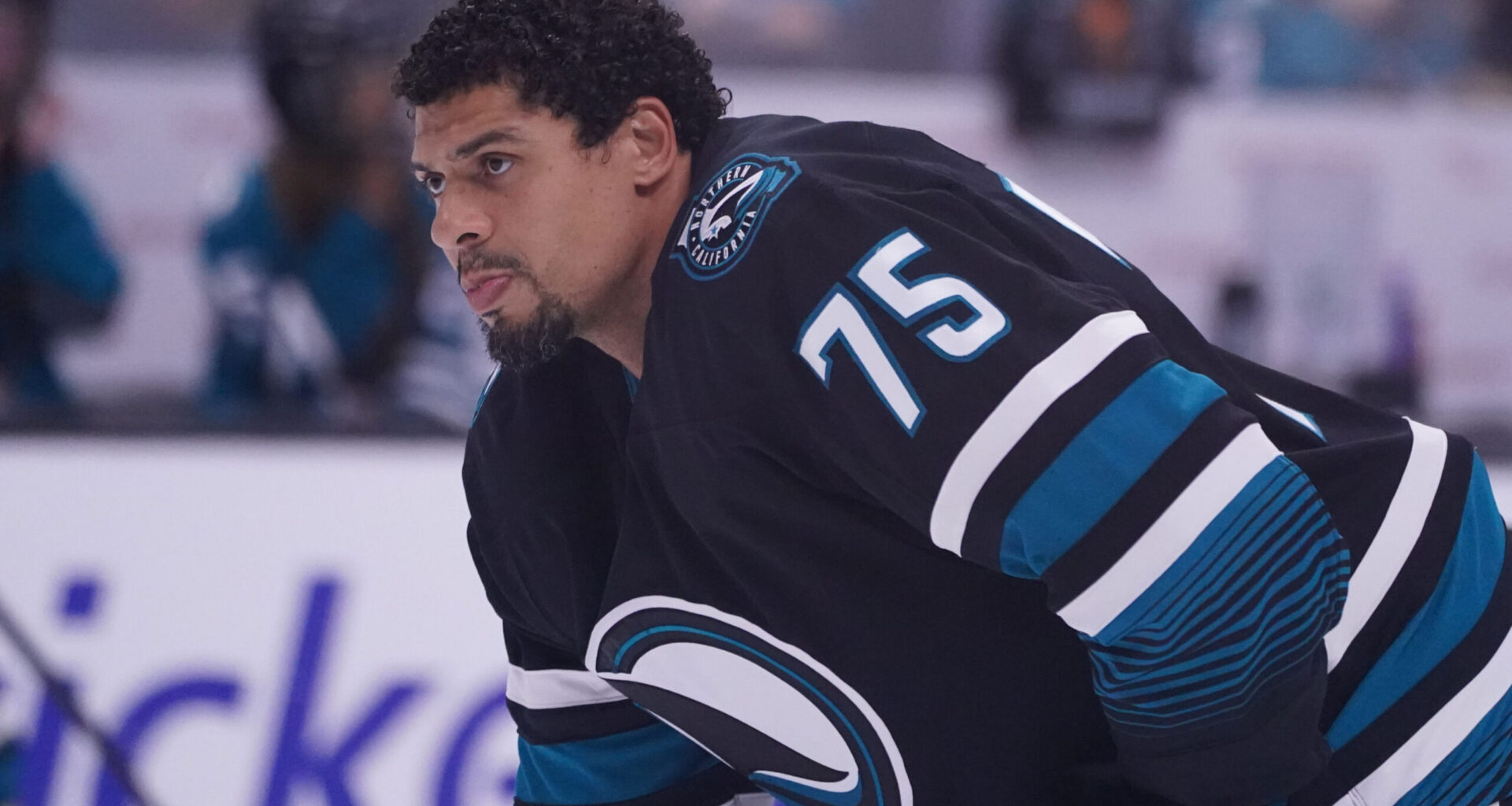 San Jose Sharks have so many UFAs