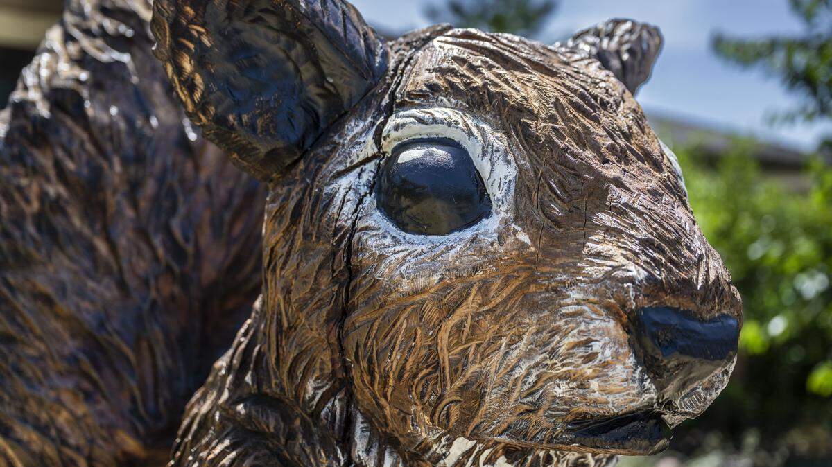 Sacramento tree art turns stumps into community sculptures