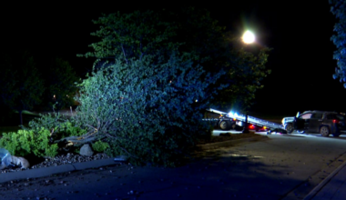 One hospitalized after crash in Bellevue neighborhood