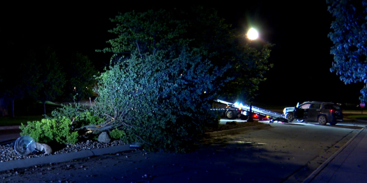 One hospitalized after crash in Bellevue neighborhood