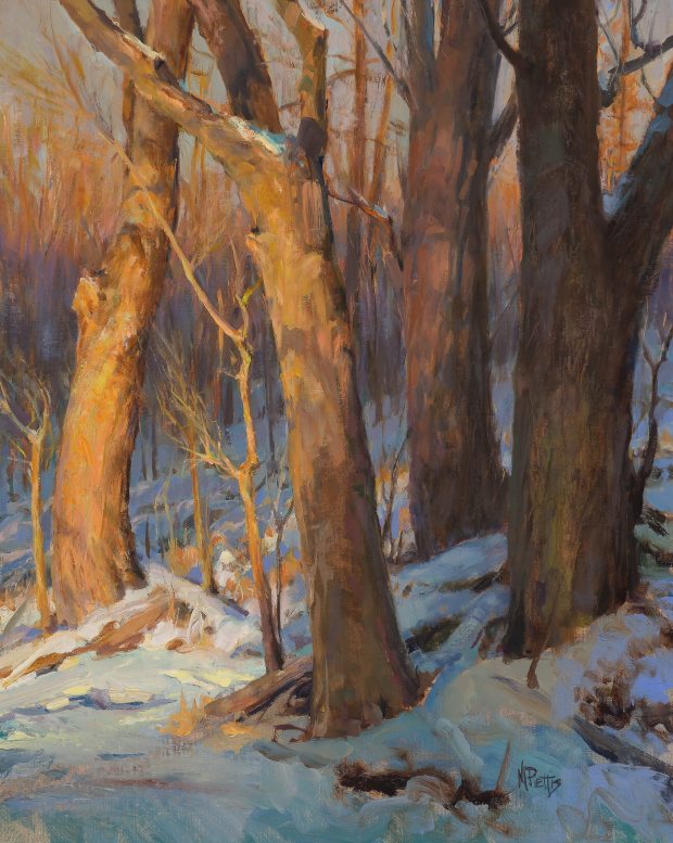Small trees growing up among mature trees in the snow. 