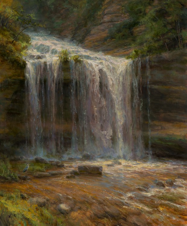 A waterfall in the woods.