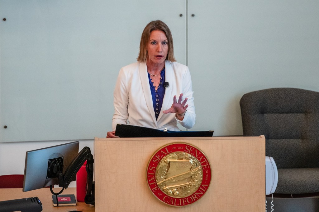 Measure would boost mental health care in California – San Diego Union-Tribune
