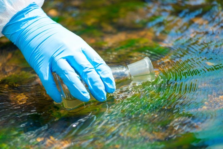 Scientist River Water Sample Stream Research