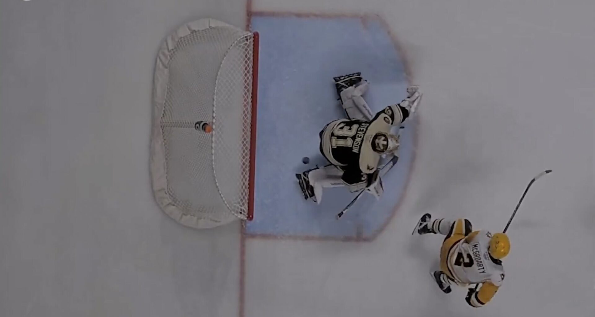 Hockey Fans Throw Trash on Ice After Wild Goal