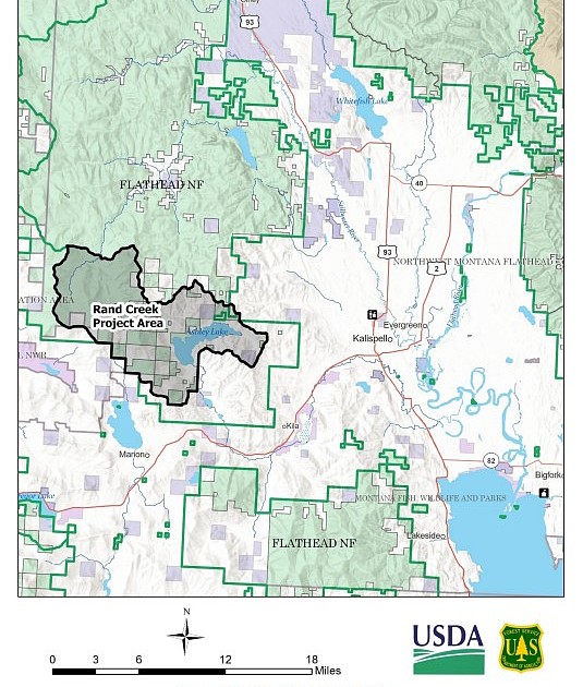 Forest Service says timber project’s impacts to endangered species minimal