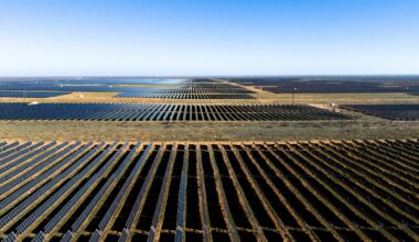 Solar to overtake coal on Texas grid for the first time ever this year