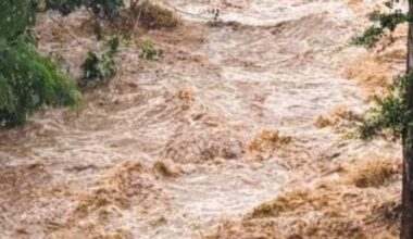 Flood advisory issued as moderate to locally heavy rainfall soaks parts of East Hawai‘i : Big Island Now