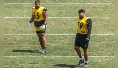Former Steelers DL Shares When He Knew Pittsburgh Would Cut Him