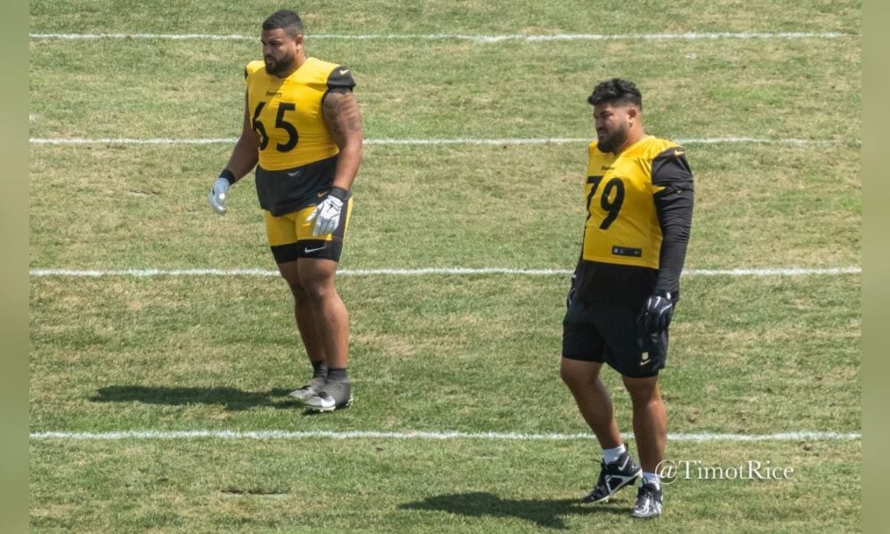 Former Steelers DL Shares When He Knew Pittsburgh Would Cut Him
