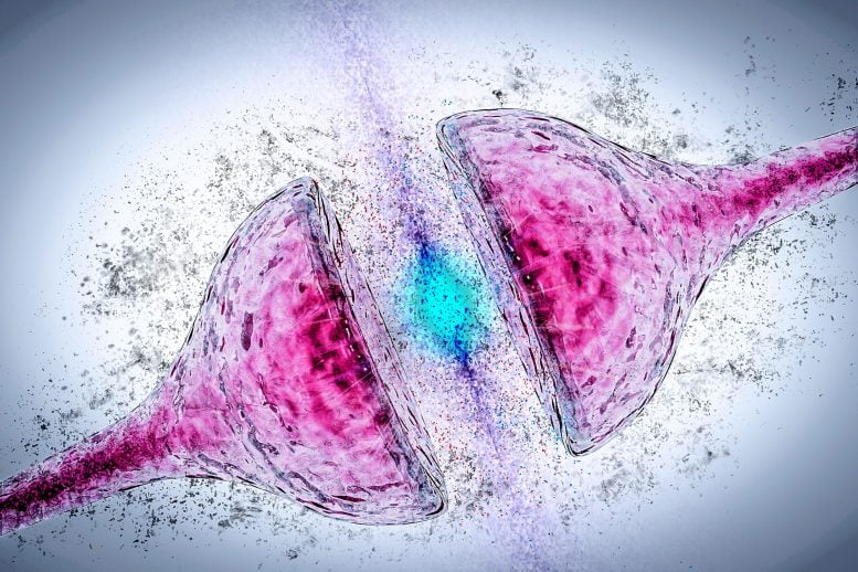 Synapse Degeneration Alzheimer's Parkinson's Dementia