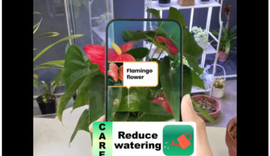 What to know about gardening apps in Colorado
