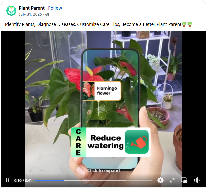 What to know about gardening apps in Colorado