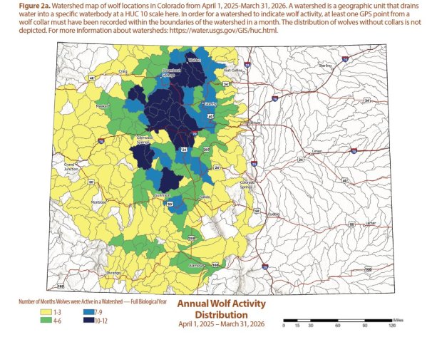 A map created by Colorado Parks and Wildlife shows the watersheds where wolves spent the most time between April 1, 2025, and March 31, 2026. Yellow indicates the fewest months of activity recorded and dark blue indicates the most months of activity. (Colorado Parks and Wildlife)