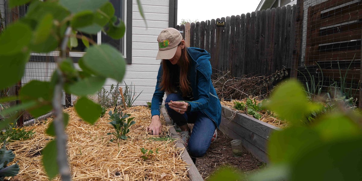 Gardeners beware of contaminated soil risks