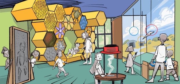 Children will be able to climb through a large hexagon-shaped structure in Hexlandia, one of the new exhibits planned in the expanded exhibit hall at the Children's Museum of Sonoma County. The museum expects to break ground in August 2026 on a new wing that will double its footprint at its Steele Lane campus. (Courtesy of Children's Museum of Sonoma County)