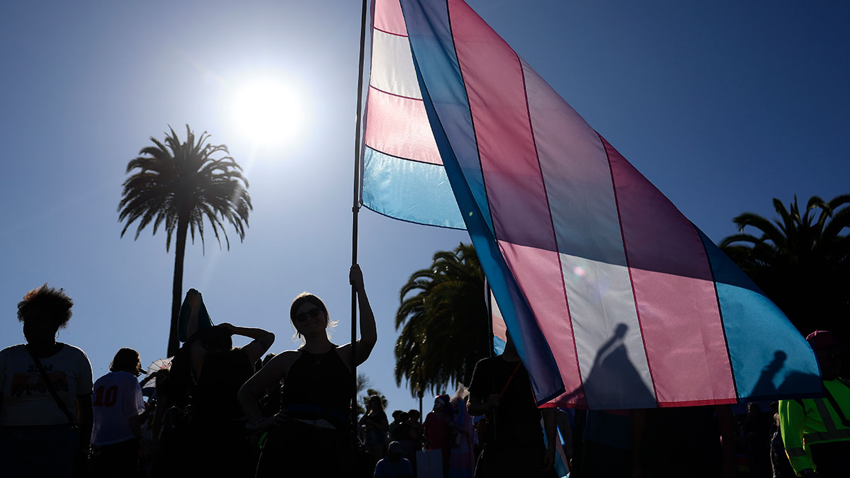 The Texas Medical Association Stays the Course on Gender Medicine