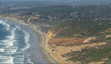 Second dead whale found off San Diego’s coast in 2 weeks – NBC 7 San Diego