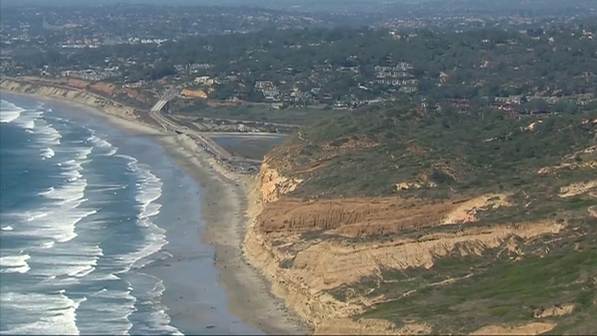 Second dead whale found off San Diego’s coast in 2 weeks – NBC 7 San Diego