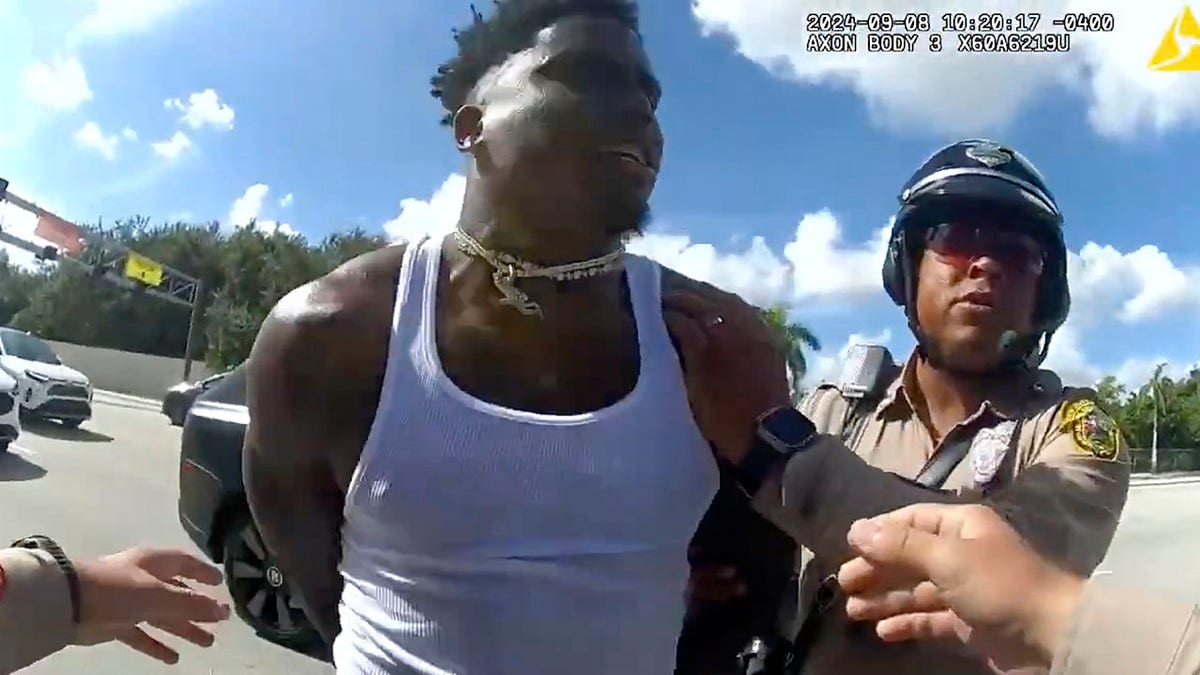 Miami Dolphins receiver Tyreek Hill being arrested during a traffic stop