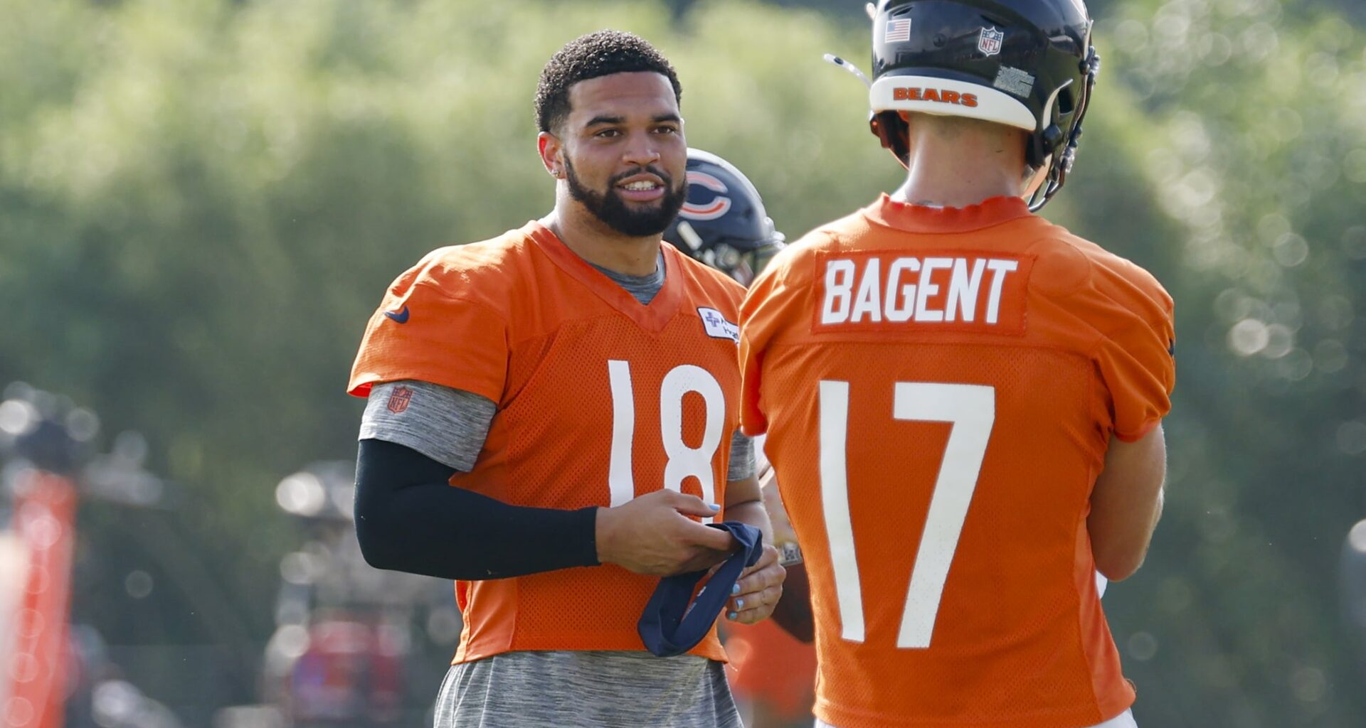 Bears