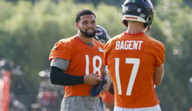 Bears