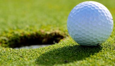 Wellesley Island golf course won’t open this year