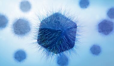 Scientists Discover New Giant Virus That Replicates in a Totally Unique Way : ScienceAlert