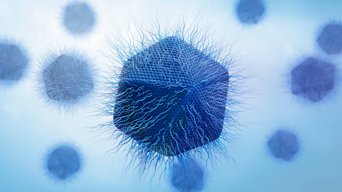 Scientists Discover New Giant Virus That Replicates in a Totally Unique Way : ScienceAlert