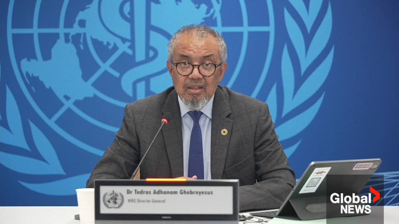 Click to play video: 'WHO says risk from hantavirus to global population remains ‘low’'