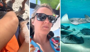 injured feet (l) woman shares stingray warning (c) group of stingrays (r)