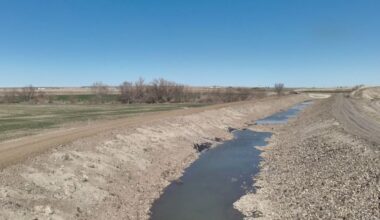 State officials warn of severe drought conditions across Idaho this summer