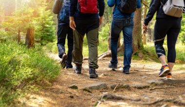How just 20 minutes of walking a day can transform your health