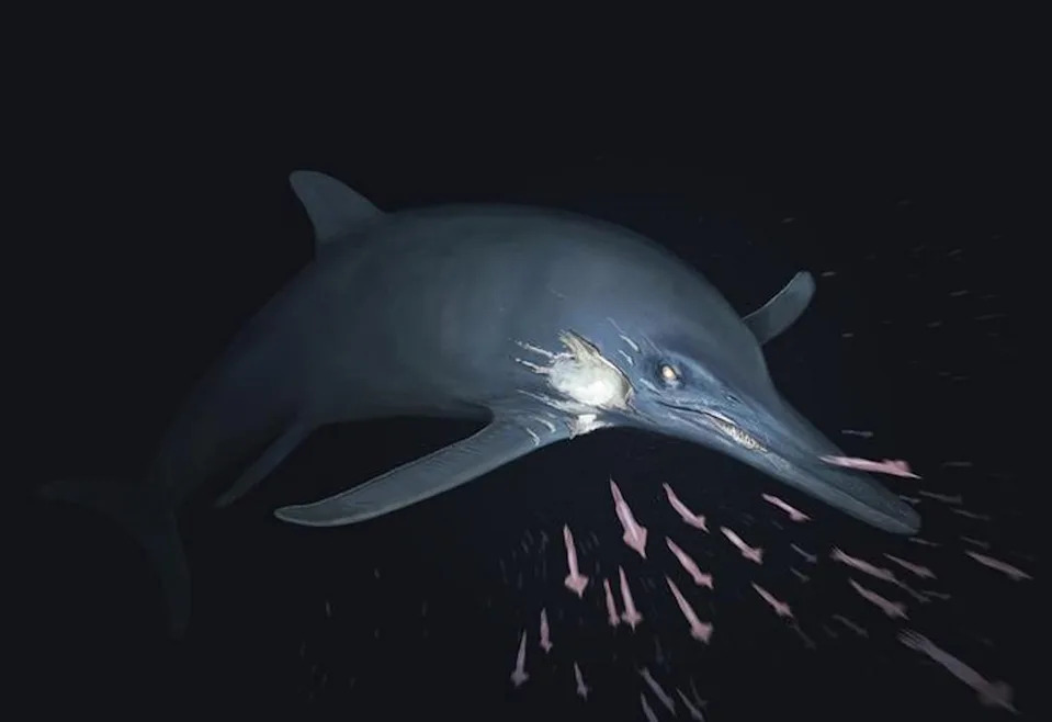 Reconstruction of the described fossil marine reptile (Joschua Knüppe)