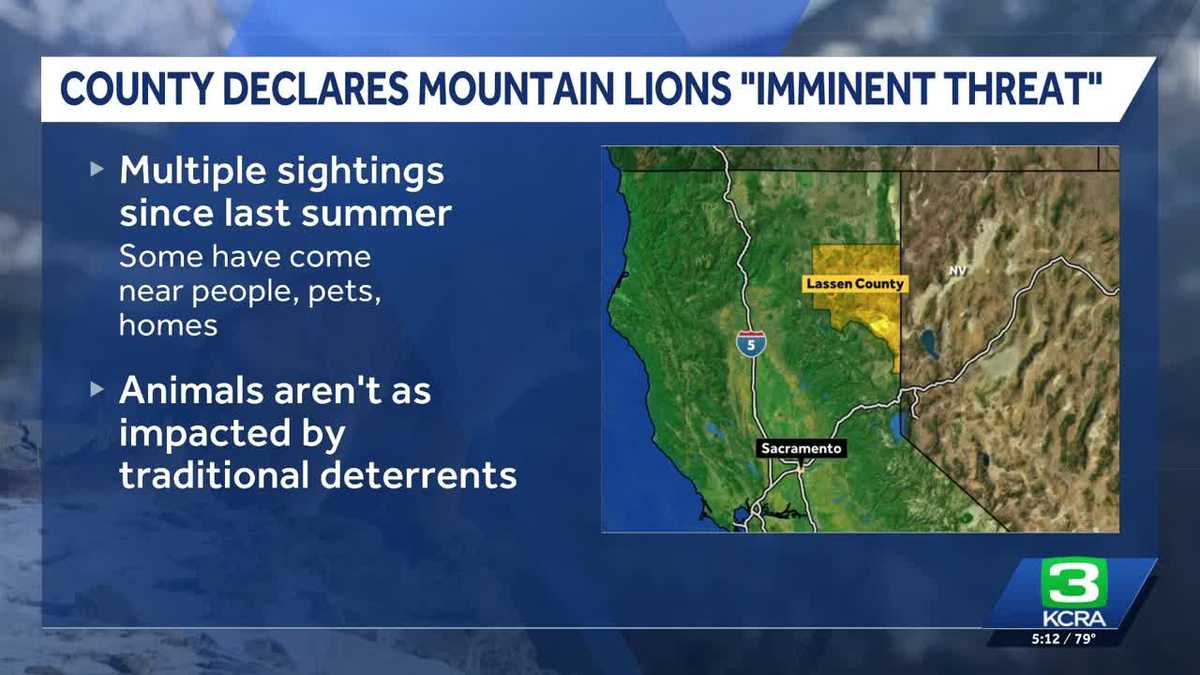 California county declares mountain lions a public safety threat