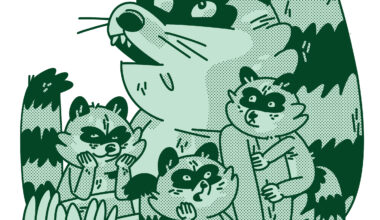 Sorry, Trash Pandas - The Stranger