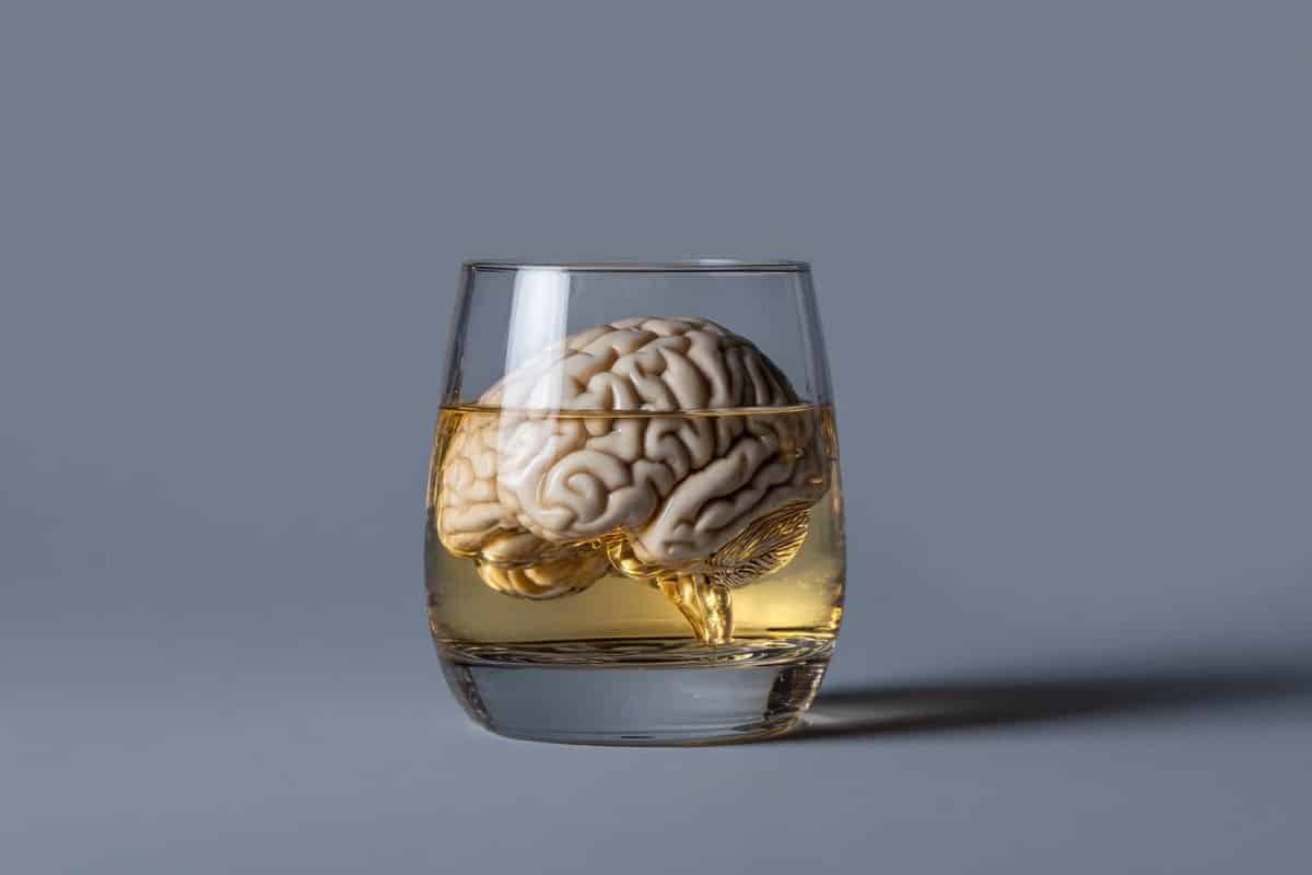 Neuroscience News logo for mobile.