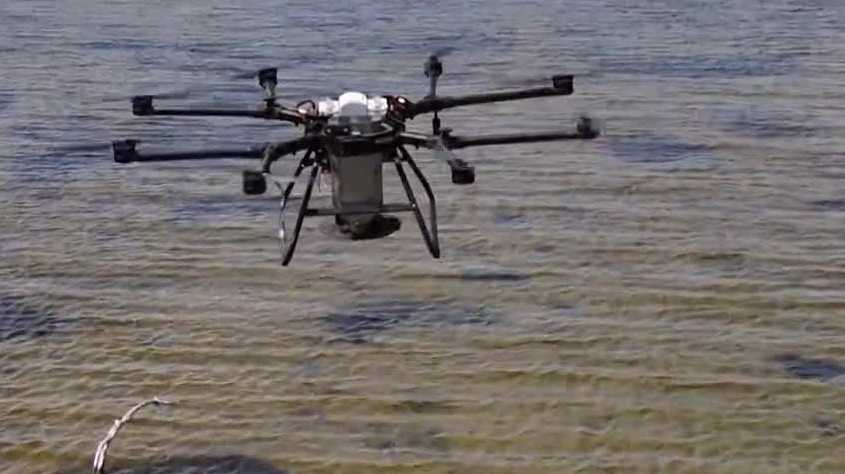 Drone-dropped clams aim to rescue Florida’s dying Indian River Lagoon