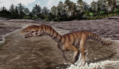 This Toothless, Beaked Crocodile Ancestor Walked on Two Legs