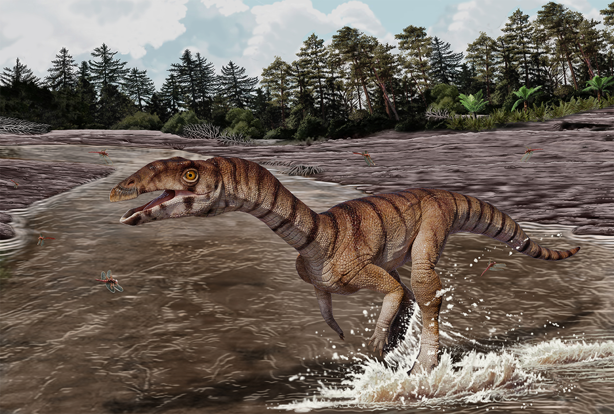 This Toothless, Beaked Crocodile Ancestor Walked on Two Legs