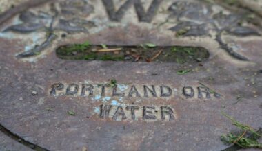 Portland is tapping into its backup supply of drinking water after springing a leak