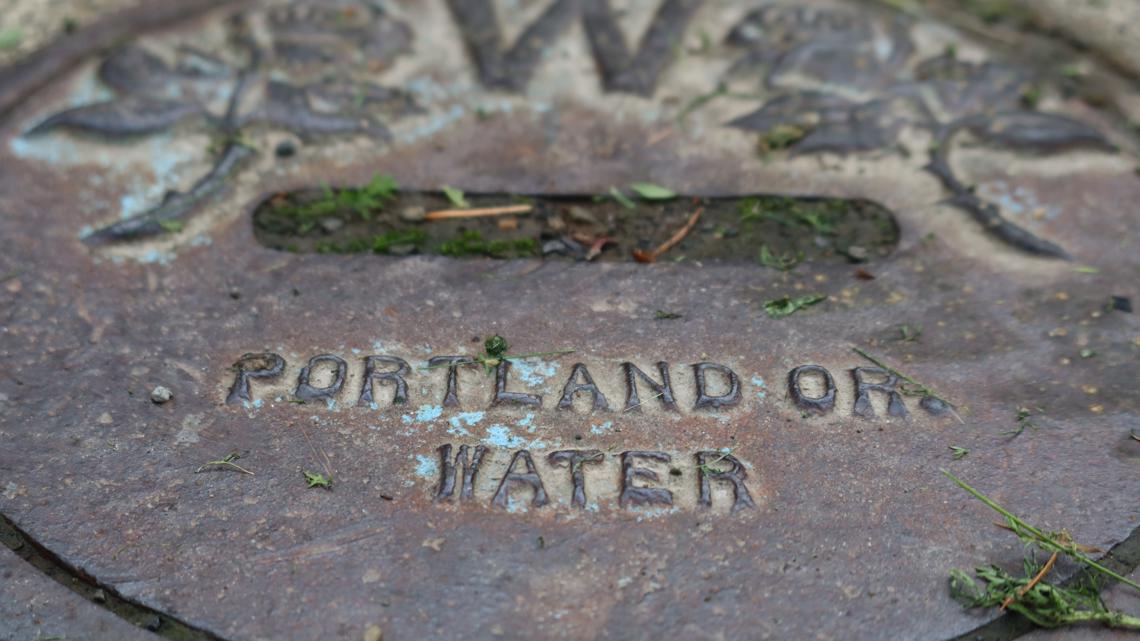 Portland is tapping into its backup supply of drinking water after springing a leak