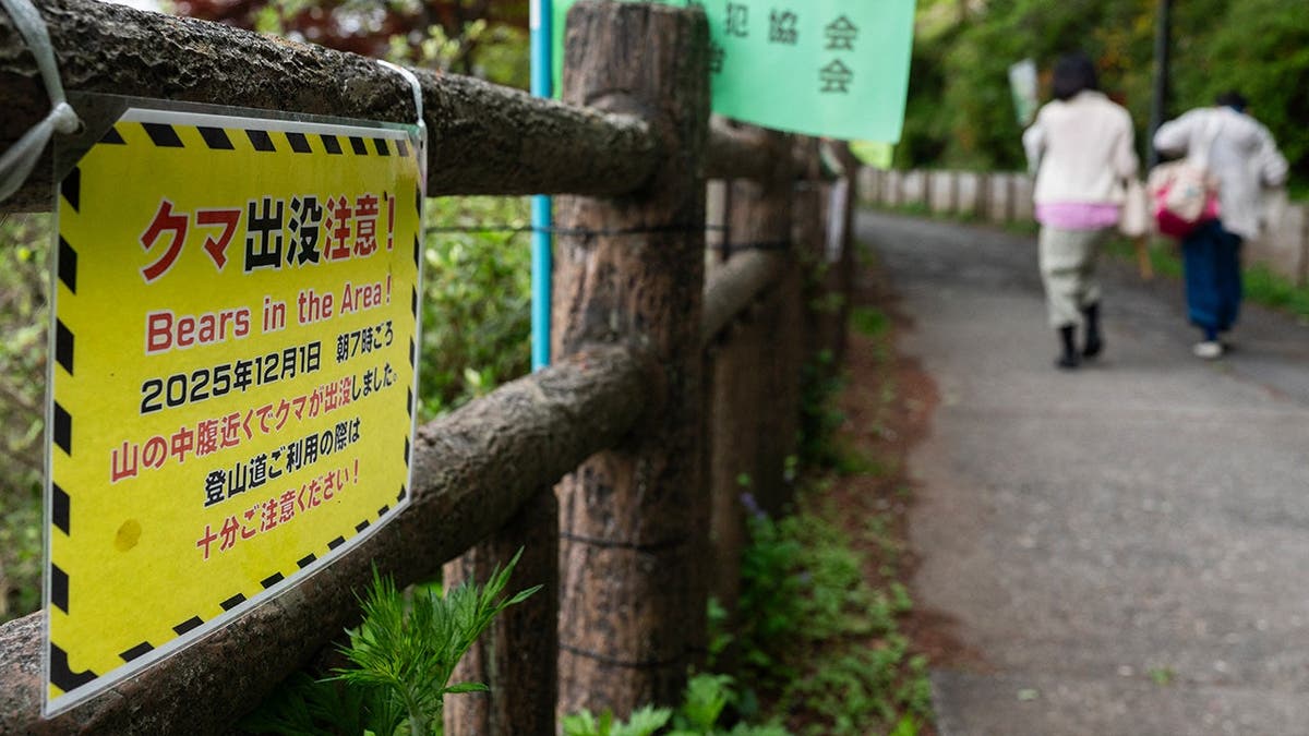 bear warning sign