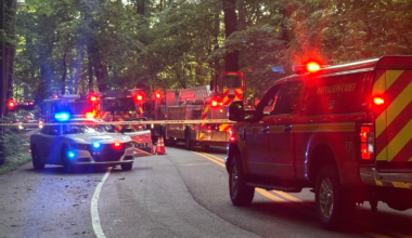 MetroSafe: Tree falls, kills person in Iroquois Park