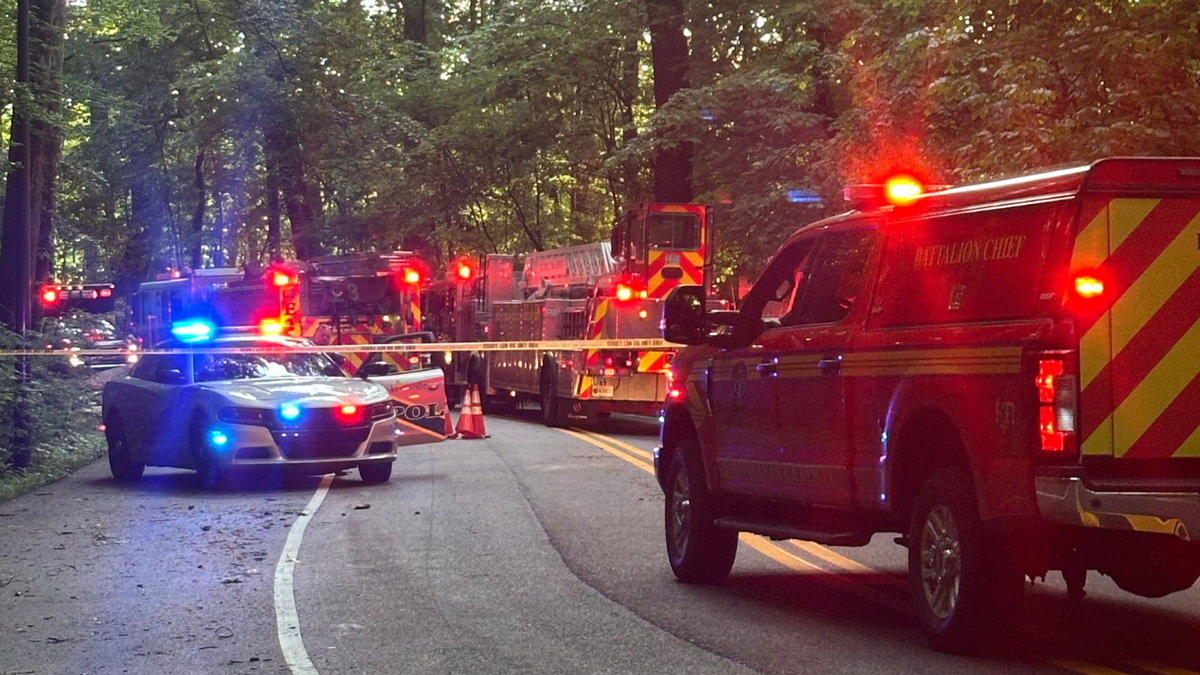 MetroSafe: Tree falls, kills person in Iroquois Park