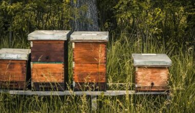 Literary Hub » How Bees Came to the United States and Changed Our Landscape